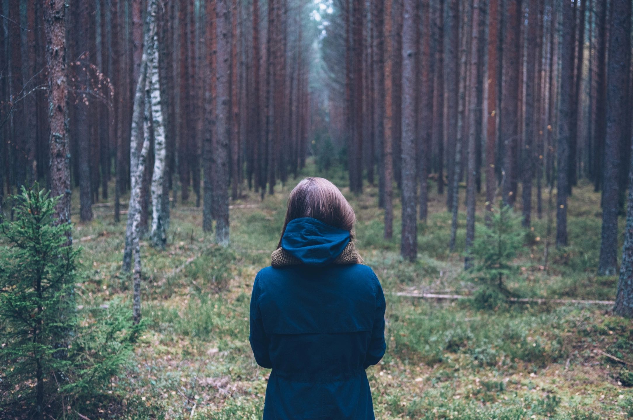 The back of a woman wearing a navy-blue winter coat in the middle of a forest full of tall trees